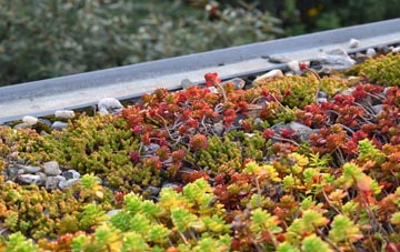 the cost of Hollingbury green roof installation
