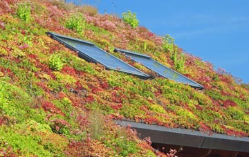 Hollingbury living roof systems